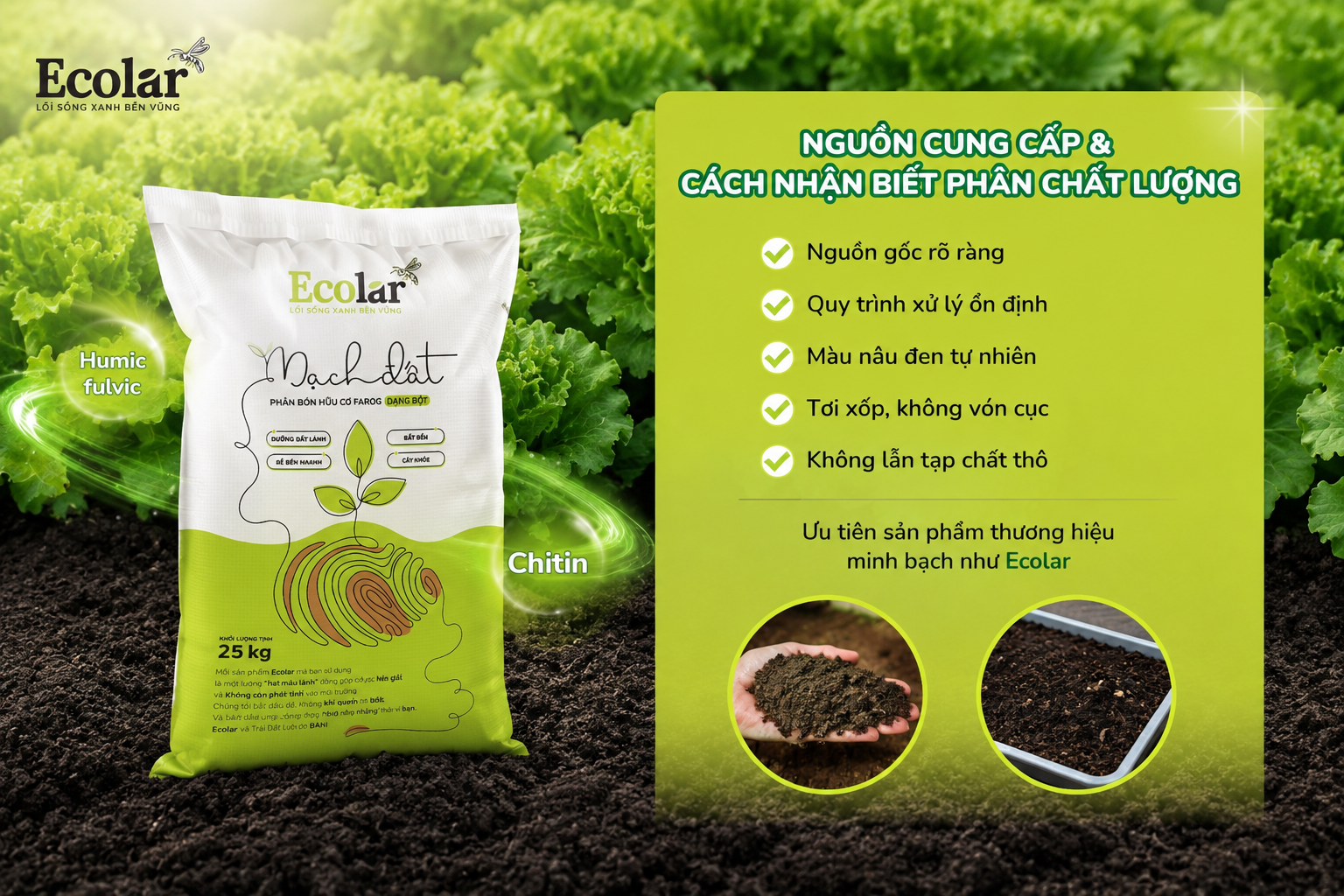 Nguồn cung cấp và cách nhận biết phân chất lượng