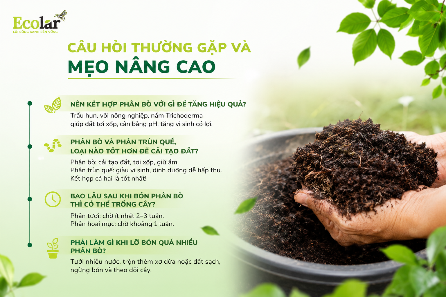 Câu Hỏi Thường Gặp và Mẹo Nâng Cao