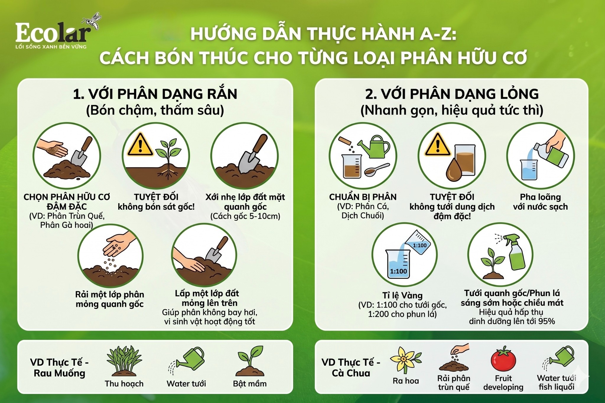 Hướng Dẫn Thực Hành A-Z: Cách Bón Thúc Cho Từng Loại Phân Hữu Cơ