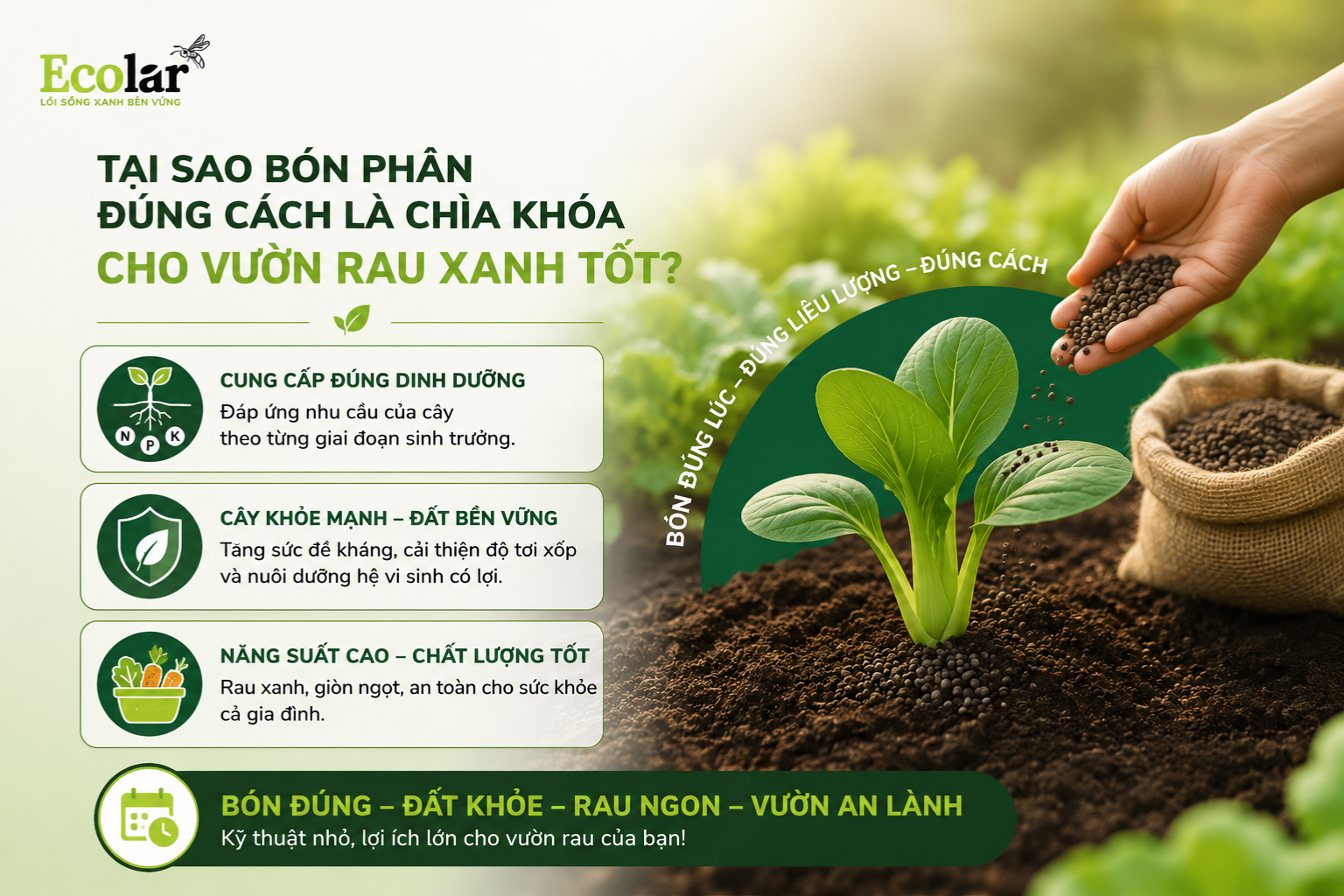 Tại Sao Bón Phân Đúng Cách Là Chìa Khóa Cho Vườn Rau Xanh Tốt?