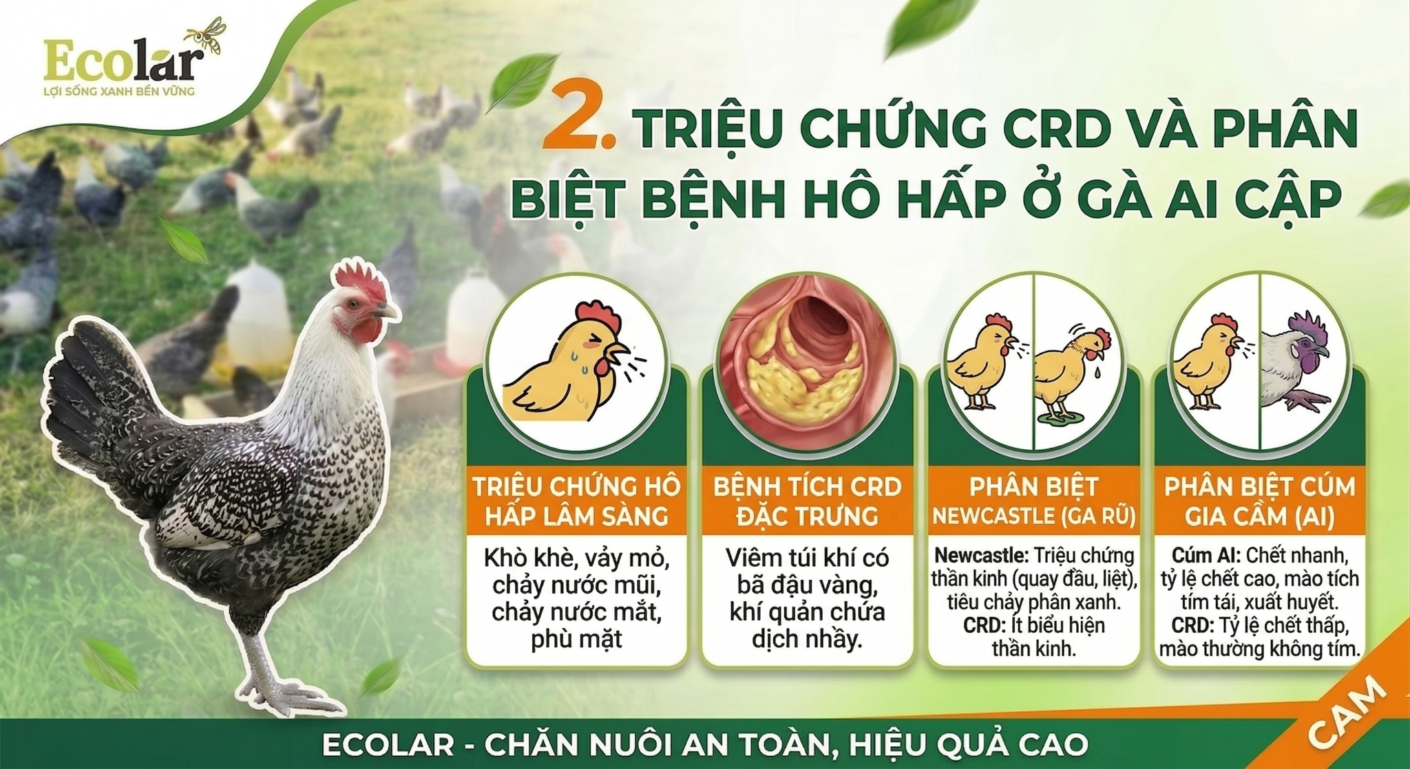 ch-phan-biet-voi-cac-benh-ho-hap-khac_d1ee829c01de424ab7433d6c1c1ccf87.png