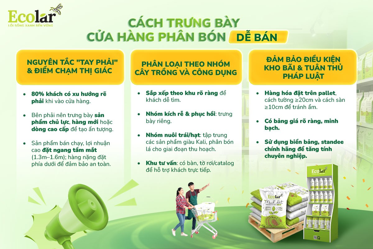 cách trưng bày