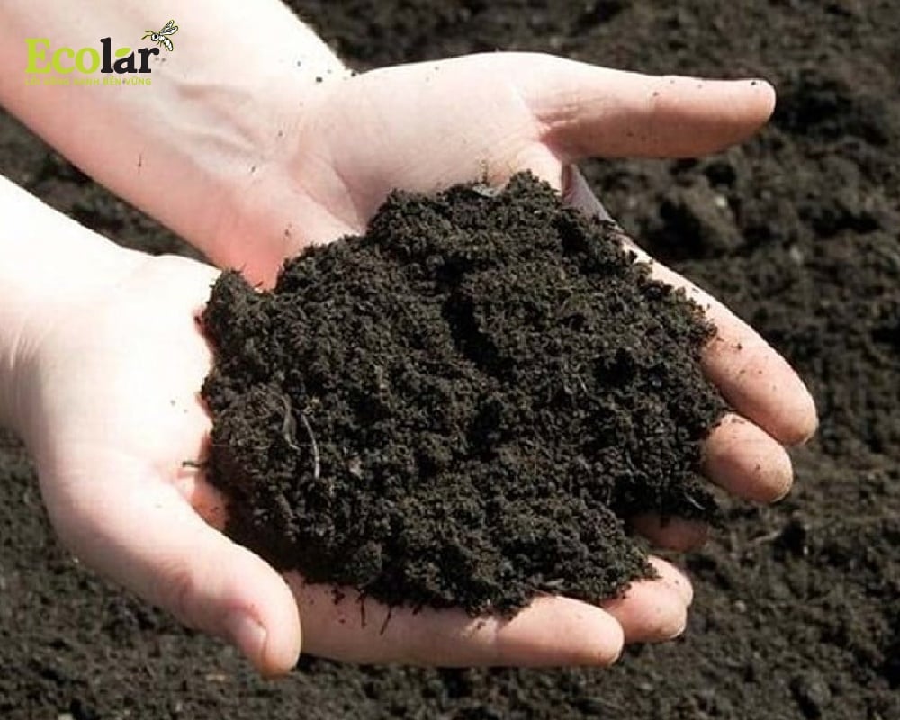 Chất cải tạo đất từ frass