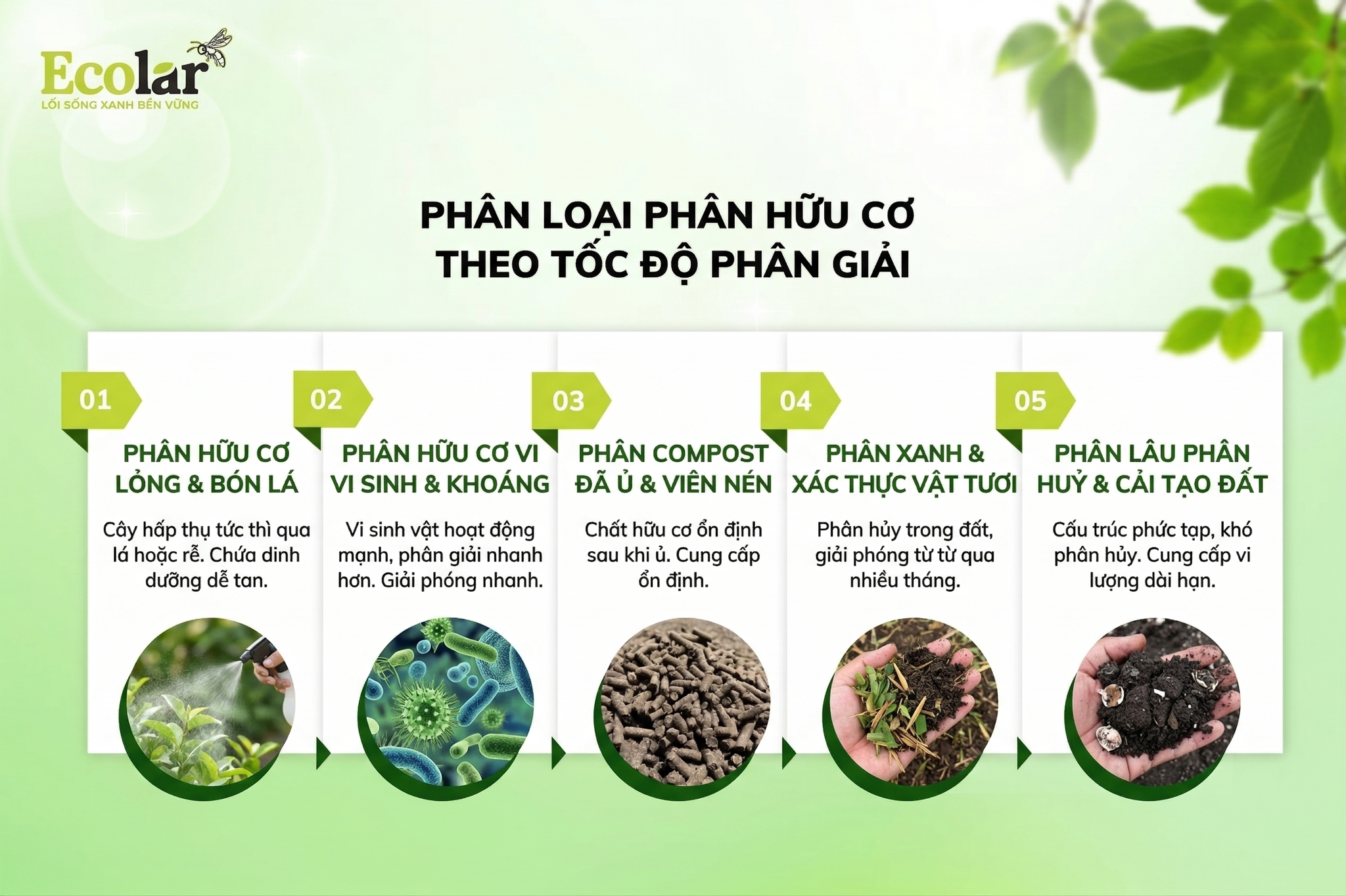 Tiêu chí 3: Tốc độ phân giải – Nhanh hay chậm?
