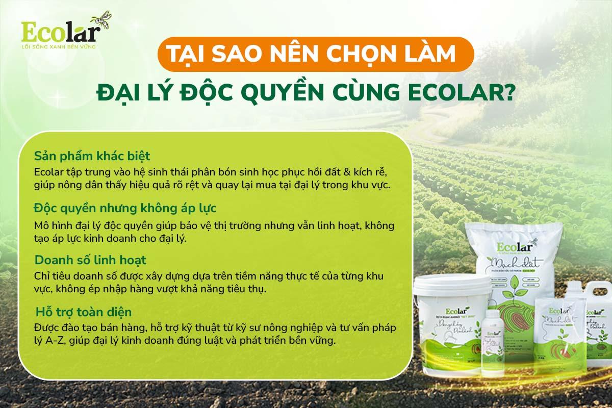 đại lý độc quyền ecolar