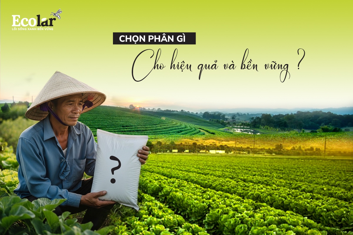 Bài toán của người làm nông – Chọn phân gì cho hiệu quả và bền vững?