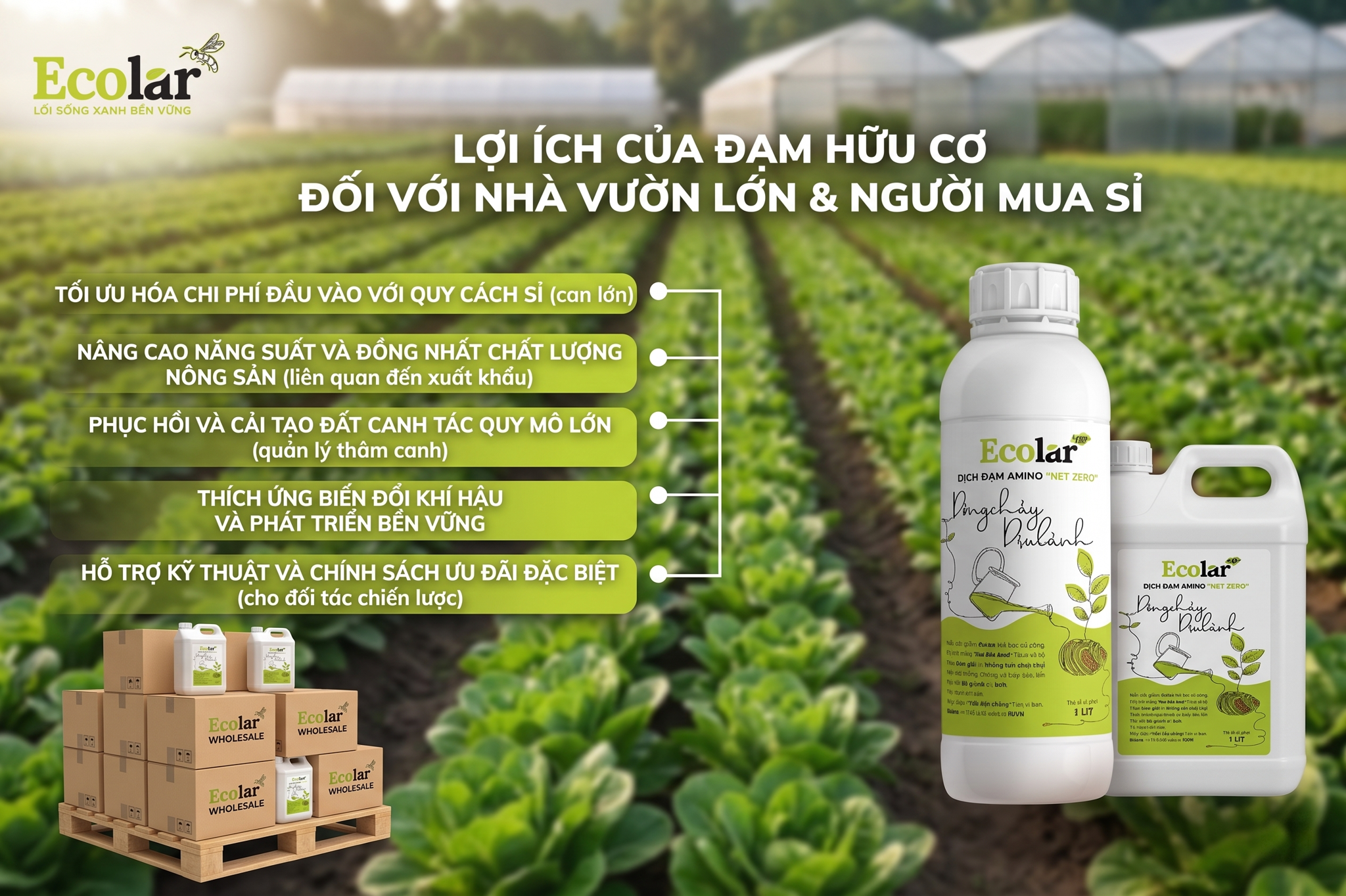 Lựa Chọn Tối Ưu Cho Nhà Vườn & Người Mua Sỉ