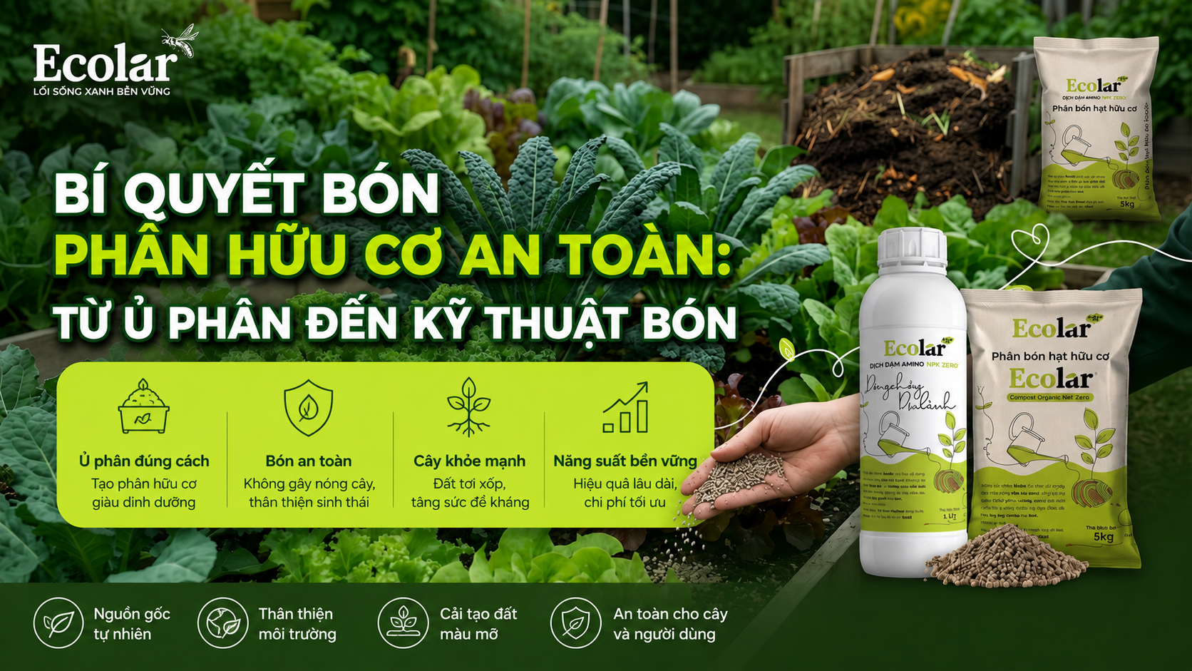 Bí Quyết Bón Phân Hữu Cơ An Toàn: Từ Ủ Phân Đến Kỹ Thuật Bón