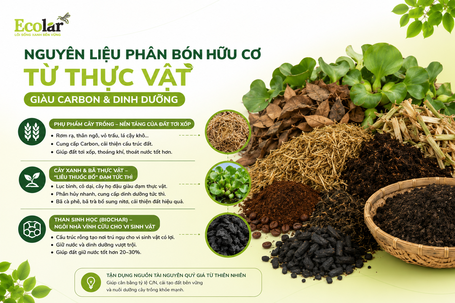 Nhóm 2: Nguyên Liệu Phân Bón Hữu Cơ Từ Thực Vật (Giàu Carbon & Dinh Dưỡng)