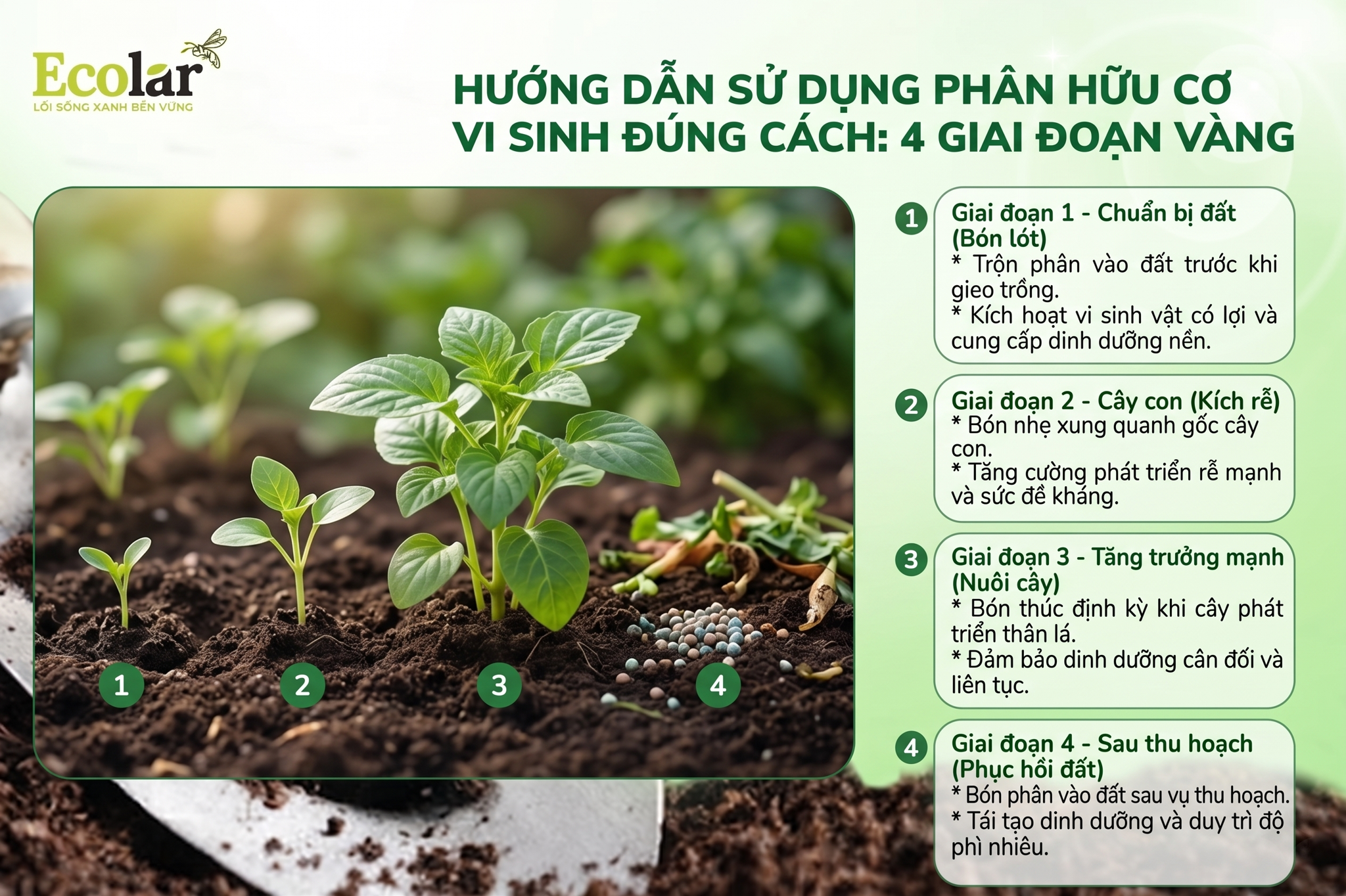 4 Giai Đoạn Vàng
