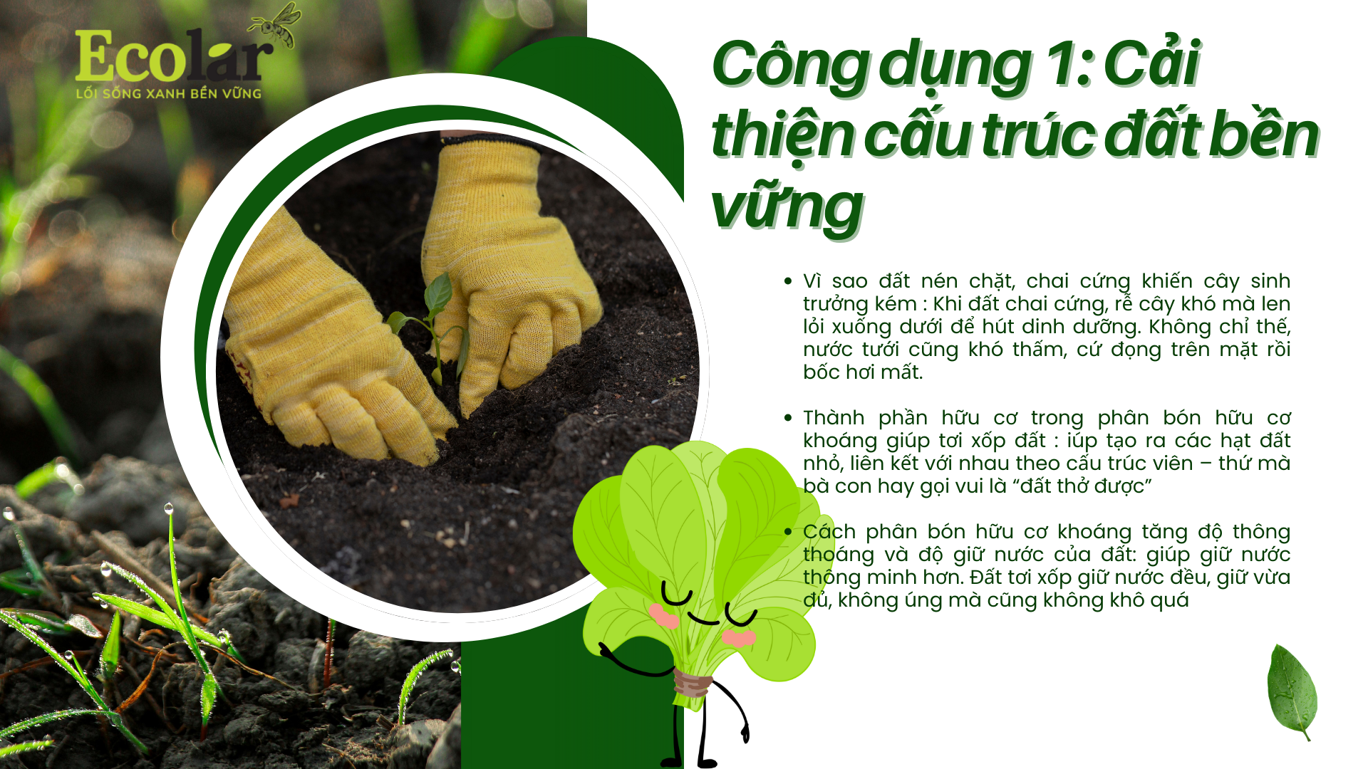 cong-dung-1-cai-thien-cau-truc-dat