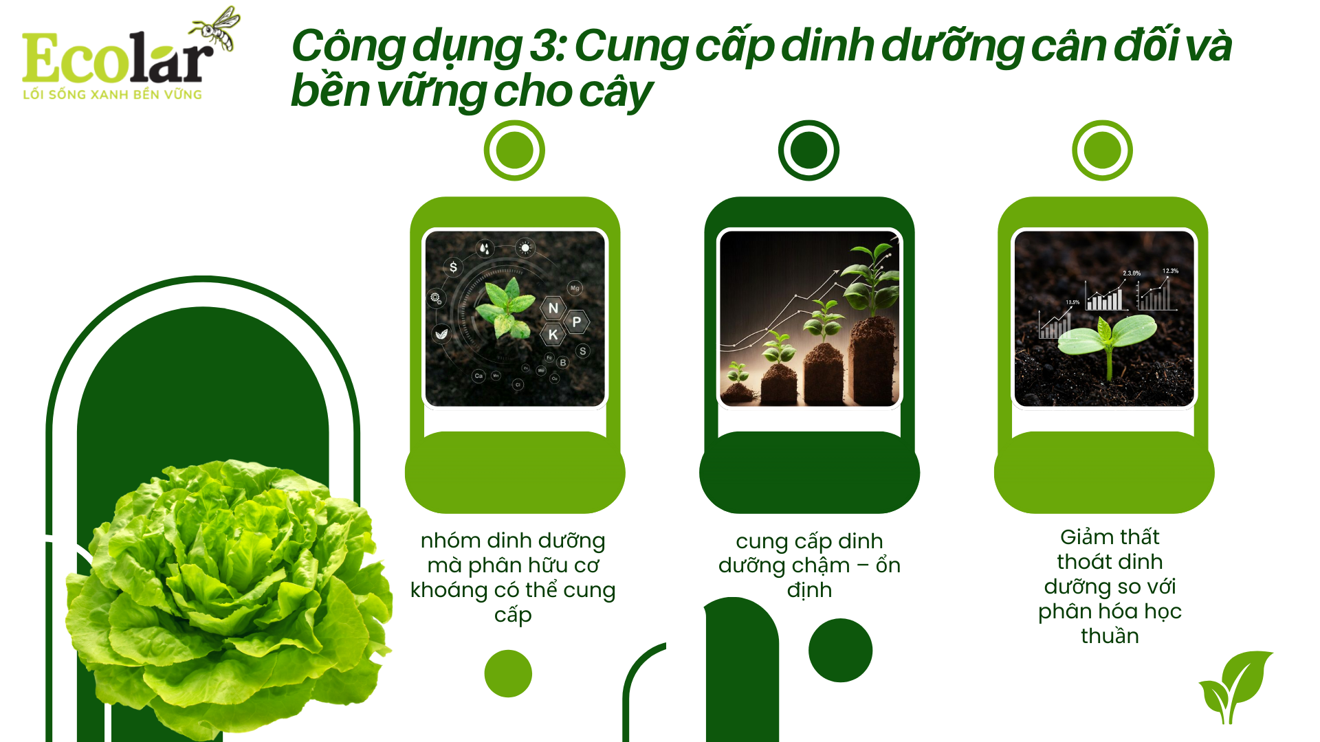 cong-dung-3-cung-cap-dinh-duong