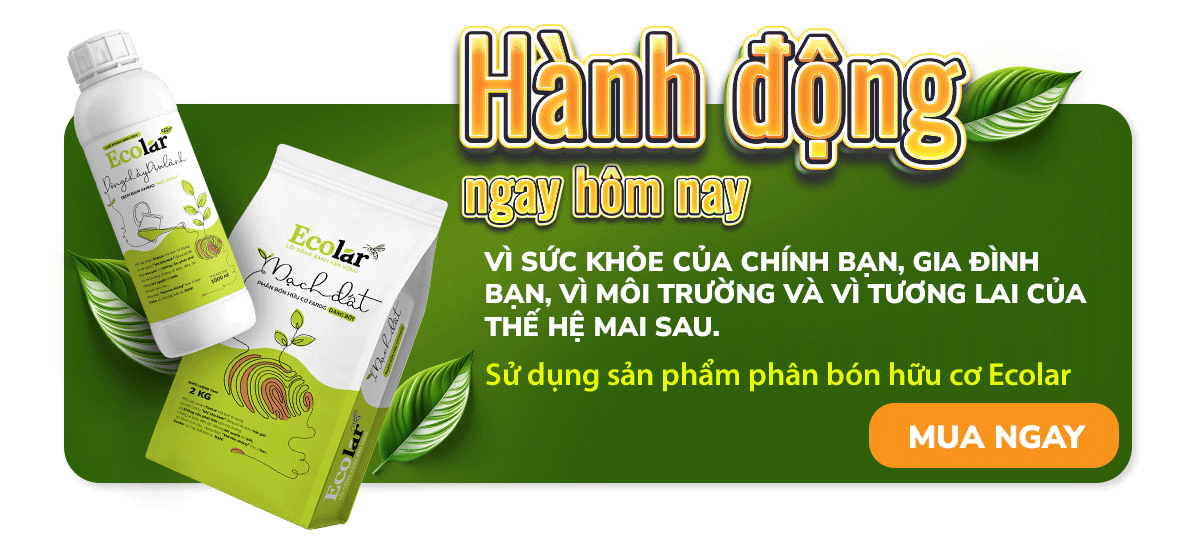 Lợi ích của phân bón hữu cơ cho cà phê và hồ tiêu trên đất bazan: tác động tới vi sinh, cấu trúc đất và năng suất bền vững