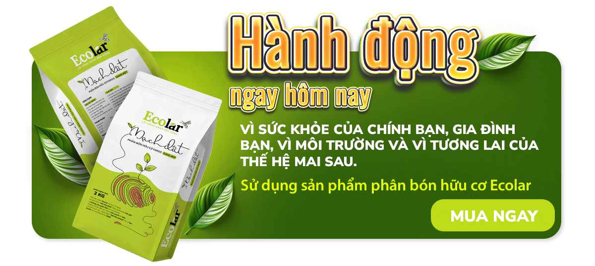 Phân bón hữu cơ Ecolar Mạch đất