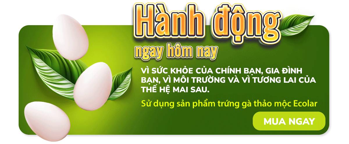 trứng gà