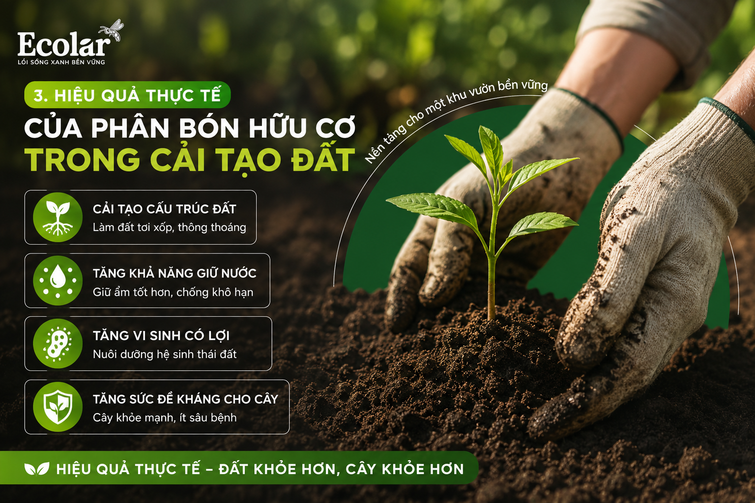 Hiệu Quả Thực Tế Của Phân Bón Hữu Cơ Trong Cải Tạo Đất