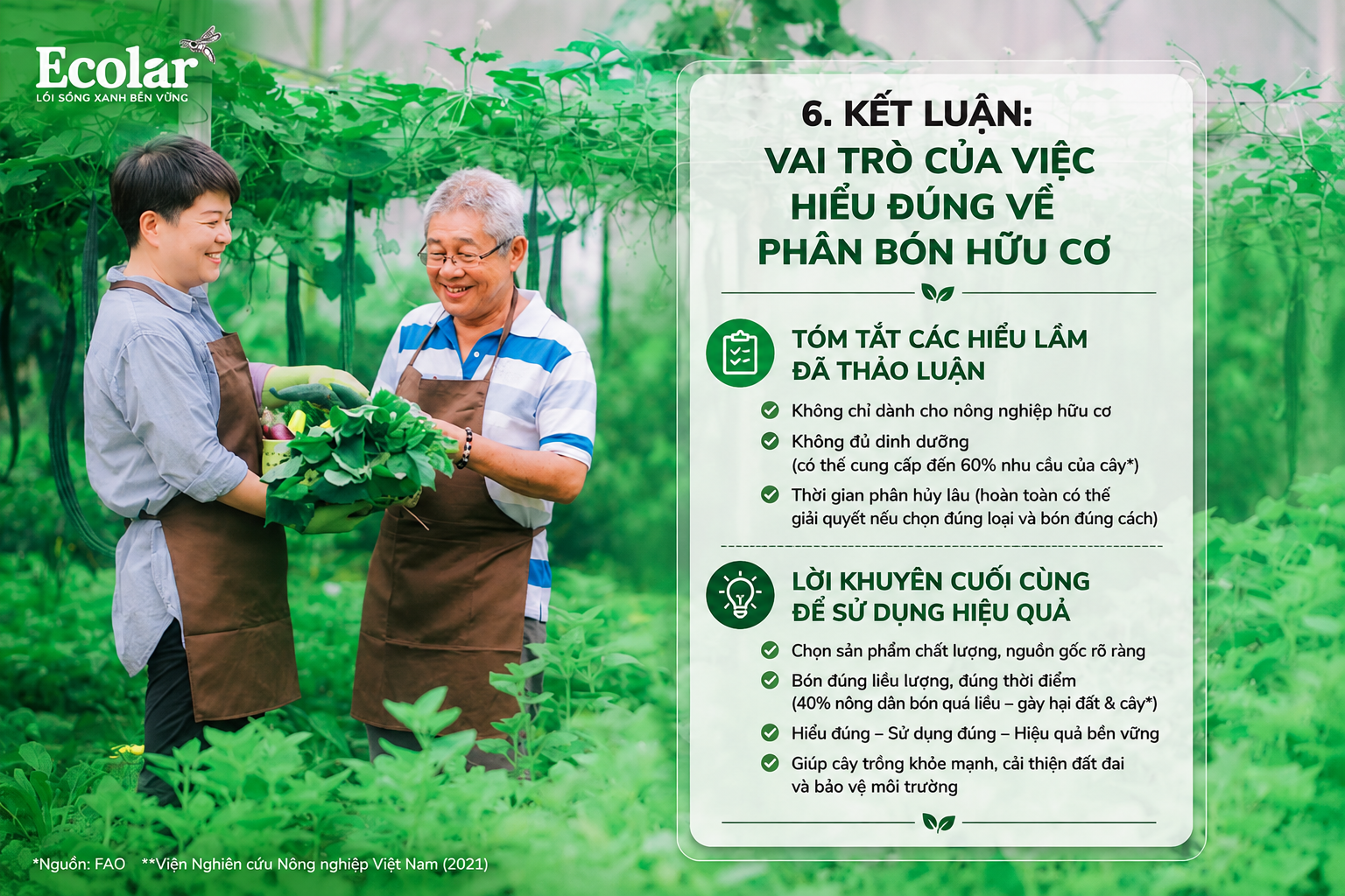 Kết Luận: Vai Trò Của Việc Hiểu Đúng Về Phân Bón Hữu Cơ
