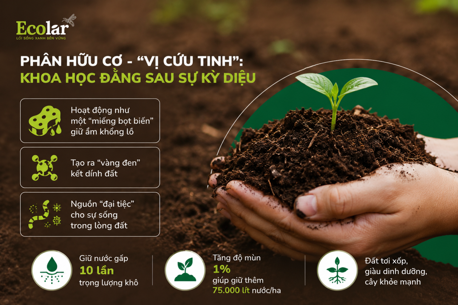 Phân Hữu Cơ - 'Vị Cứu Tinh': Khoa Học Đằng Sau Sự Kỳ Diệu