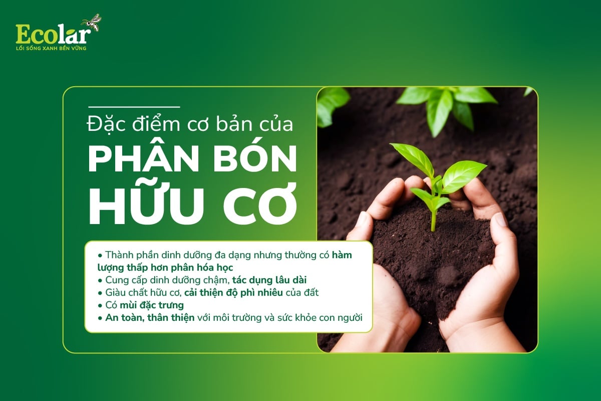 dac-diem-co-ban-cua-phan-bon-huu-co-_2e31076bcccb41ba9555c2ebe301a79e.jpg