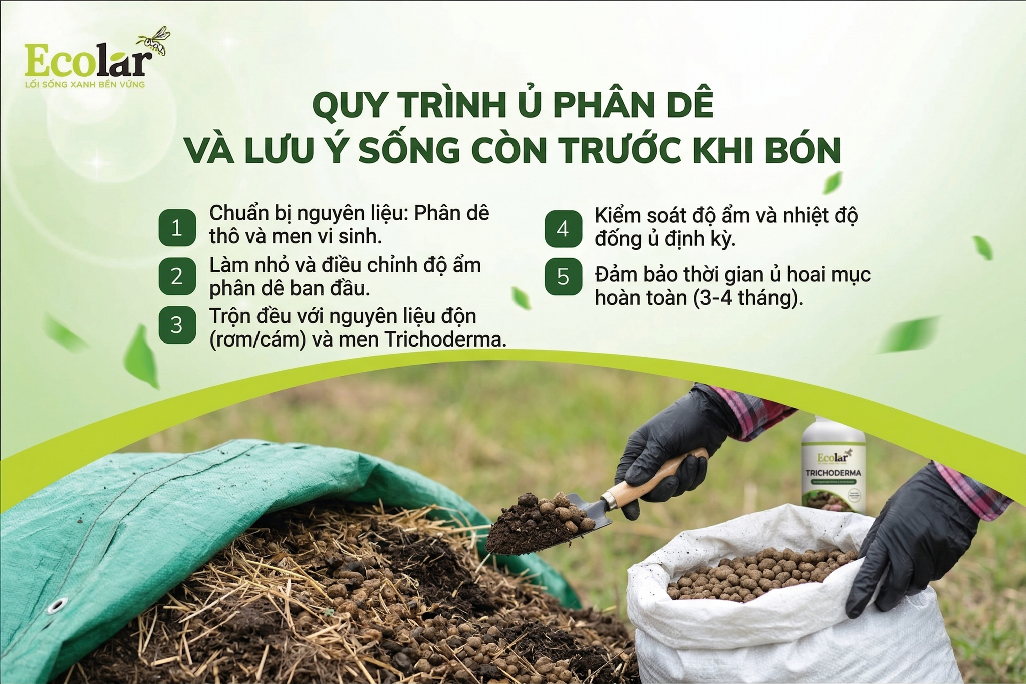 Hướng Dẫn Ủ Phân Dê Đúng Cách Trước Khi Bón