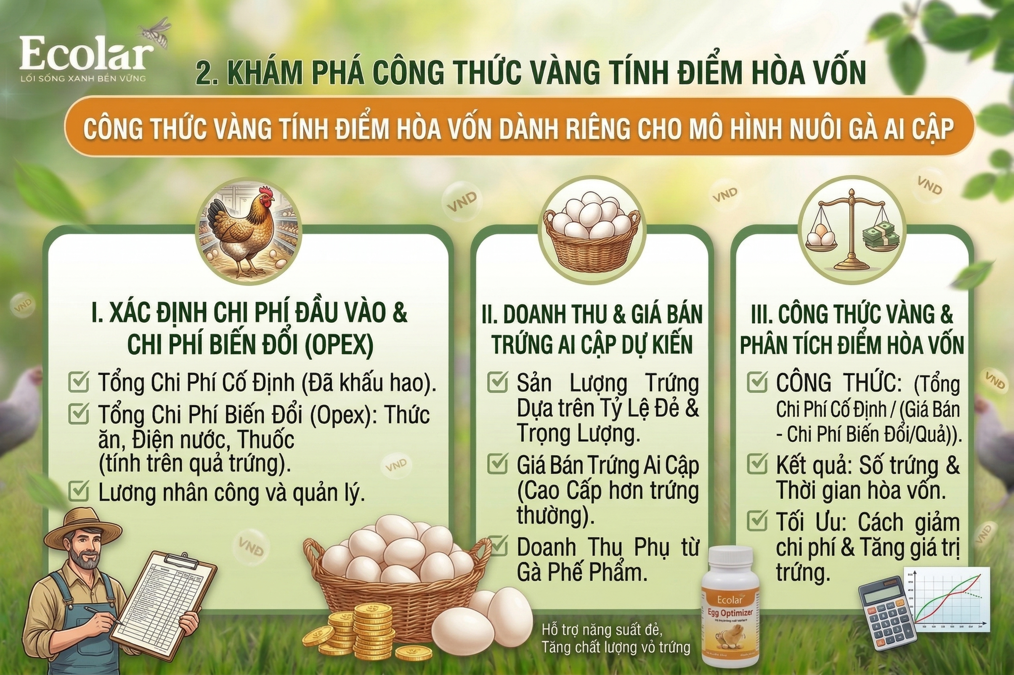 Công Thức Vàng Tính Điểm Hòa Vốn Dành Riêng Cho Mô Hình Nuôi Gà Ai Cập