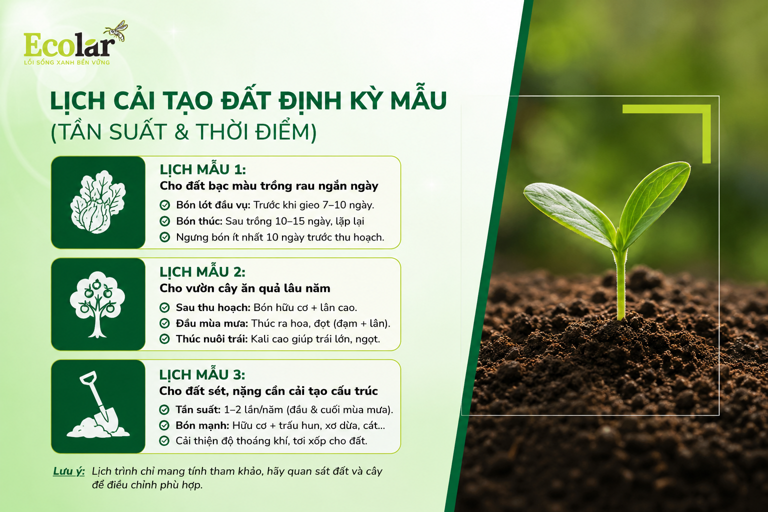 Tham Khảo Lịch Cải Tạo Đất Định Kỳ Mẫu (Tần Suất & Thời Điểm)