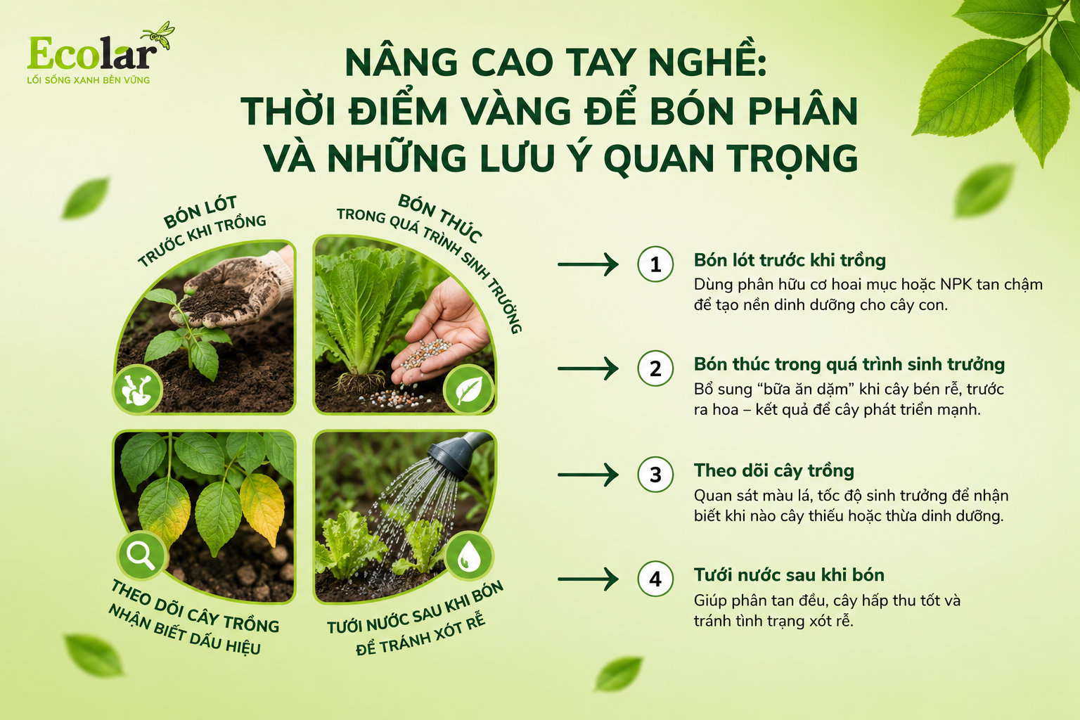 Nâng Cao Tay Nghề: Thời Điểm Vàng Để Bón Phân và Những Lưu Ý Quan Trọng