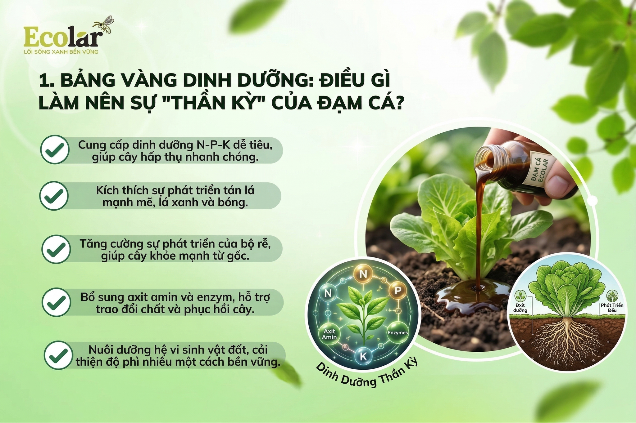 Điều Gì Làm Nên Sự 'Thần Kỳ' Của Đạm Cá?