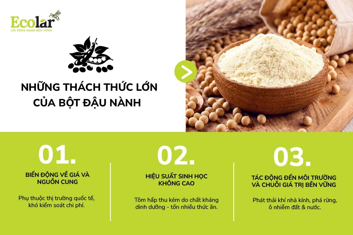 Thực trạng sử dụng bột đậu nành trong thức ăn nuôi tôm