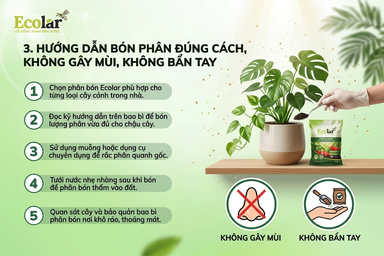 Hướng Dẫn Bón Phân Đúng Cách, Không Gây Mùi, Không Bẩn Tay