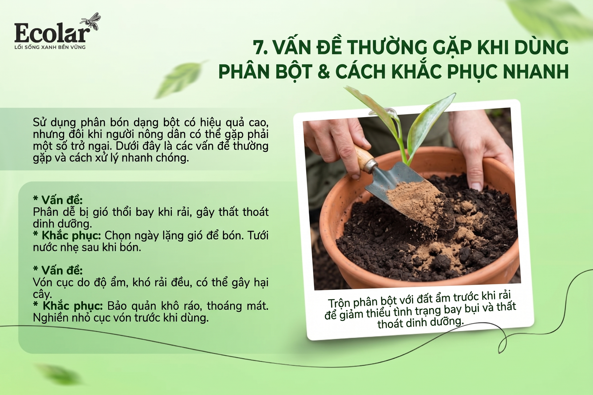 Vấn đề thường gặp khi dùng phân bột và cách khắc phục nhanh