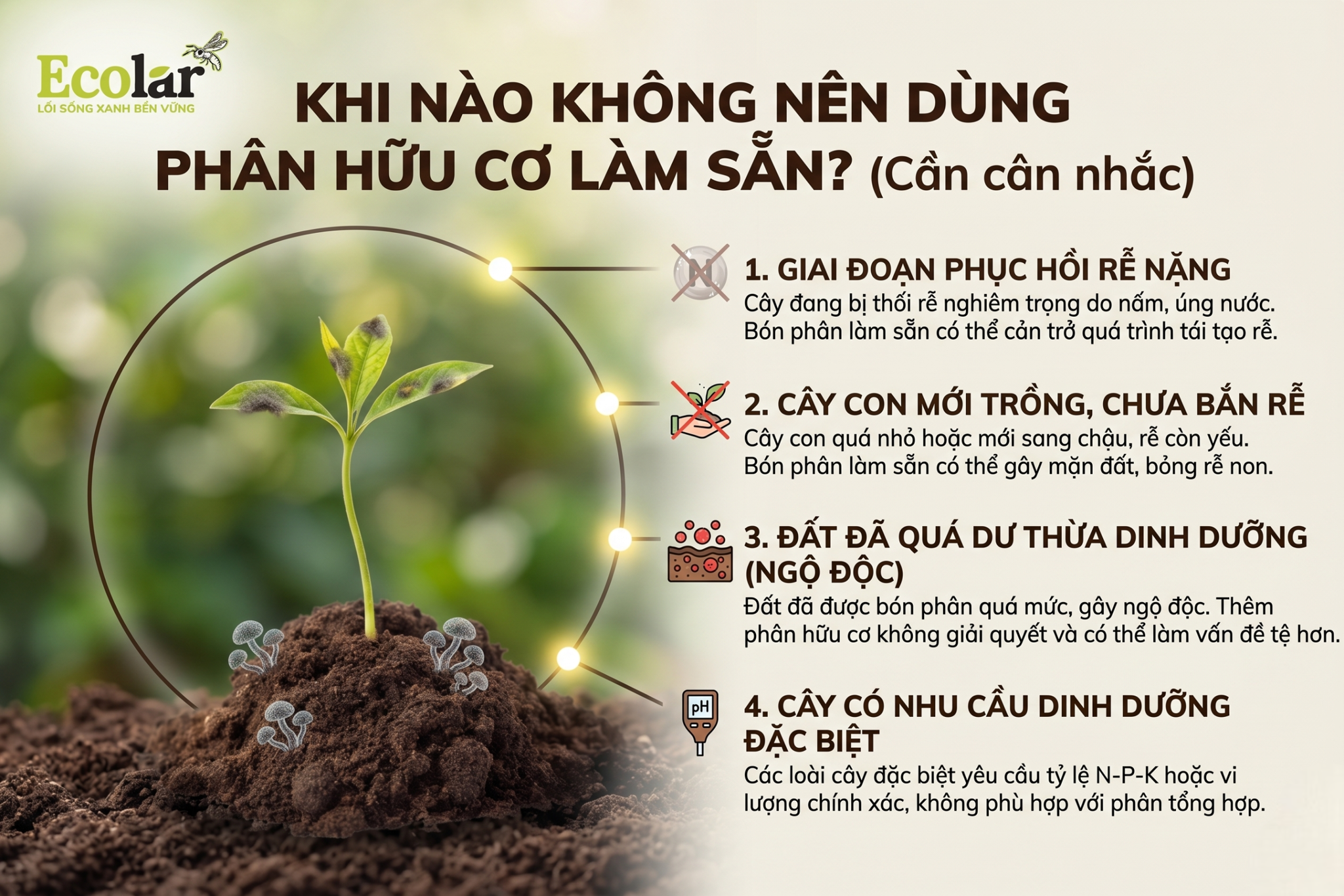 Khi nào không nên dùng phân hữu cơ làm sẵn (cần cân nhắc)