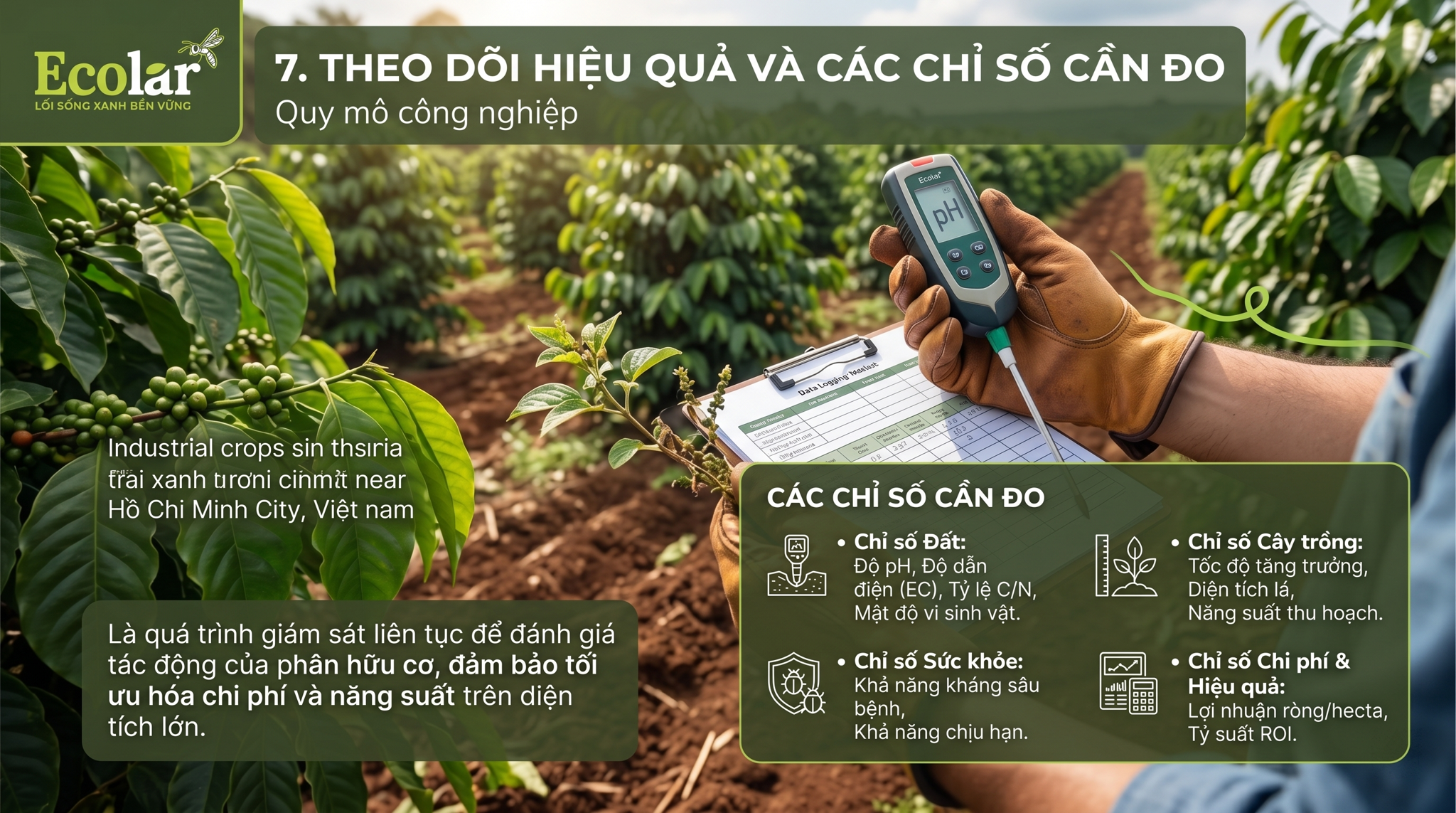 Theo dõi hiệu quả và các chỉ số cần đo khi dùng phân hữu cơ ở quy mô công nghiệp