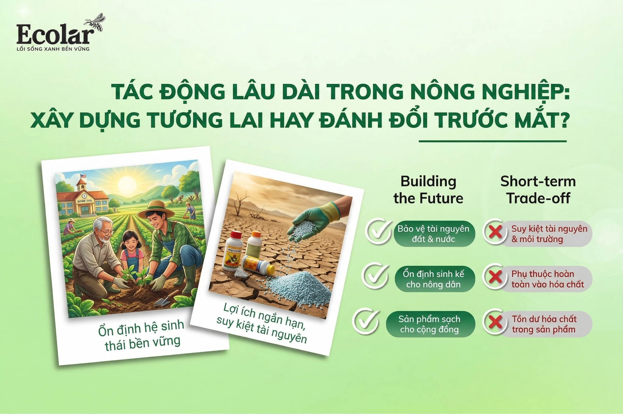 Tác động lâu dài: Xây dựng tương lai hay đánh đổi trước mắt?