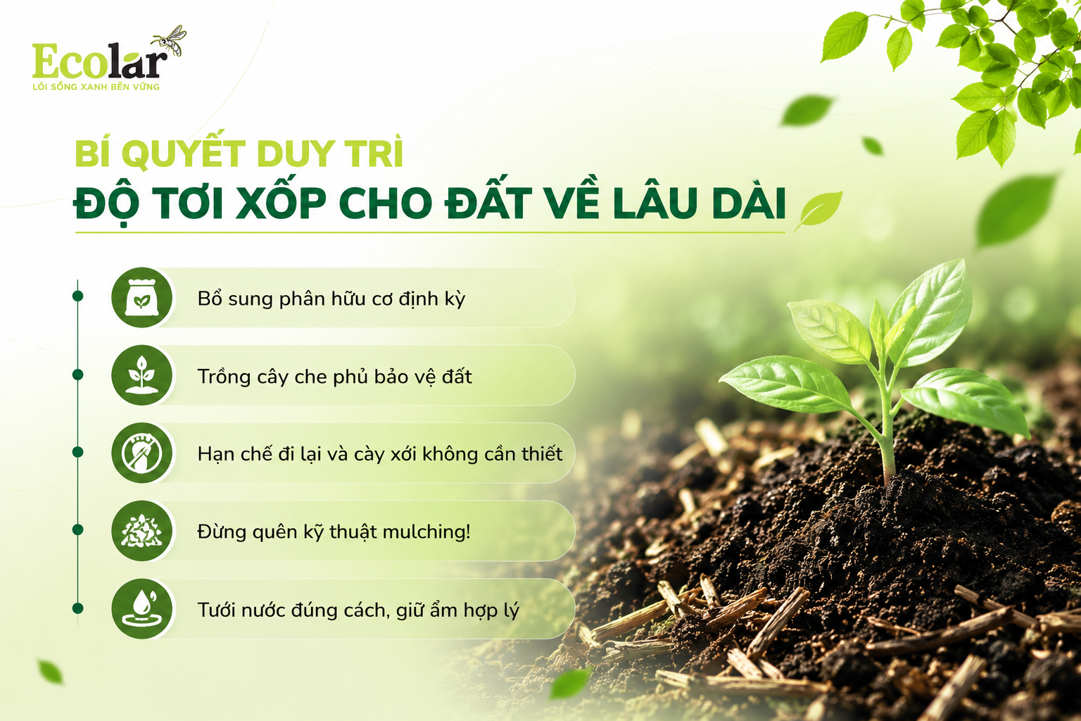 Bí Quyết Duy Trì Độ Tơi Xốp Cho Đất Về Lâu Dài
