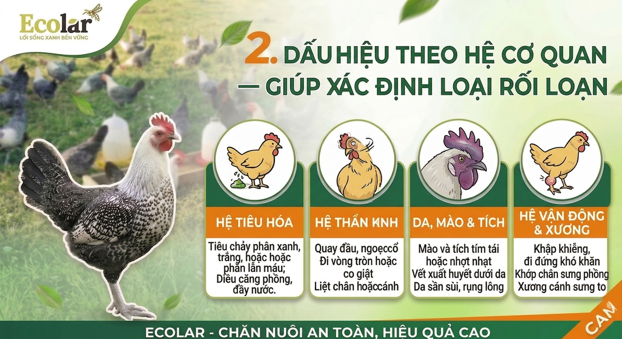e-co-quan-giup-xac-dinh-loai-roi-loan_7fe68049213f4322a6b2354a2501c376.png