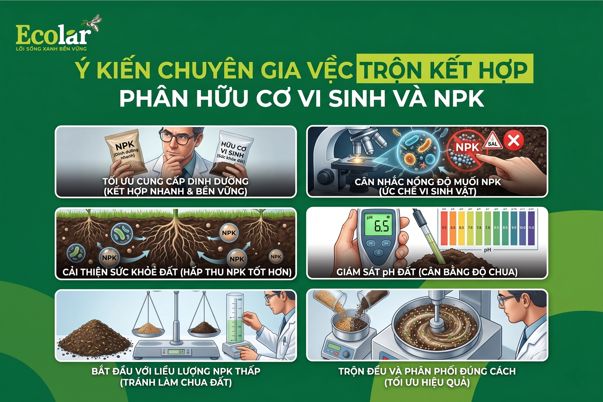 Ý Kiến Chuyên Gia Về Việc Kết Hợp Phân Hữu Cơ Vi Sinh Và NPK
