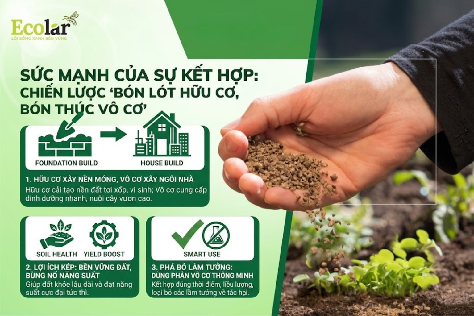 Sức Mạnh Của Sự Kết Hợp: Chiến Lược 'Bón Lót Hữu Cơ, Bón Thúc Vô Cơ'