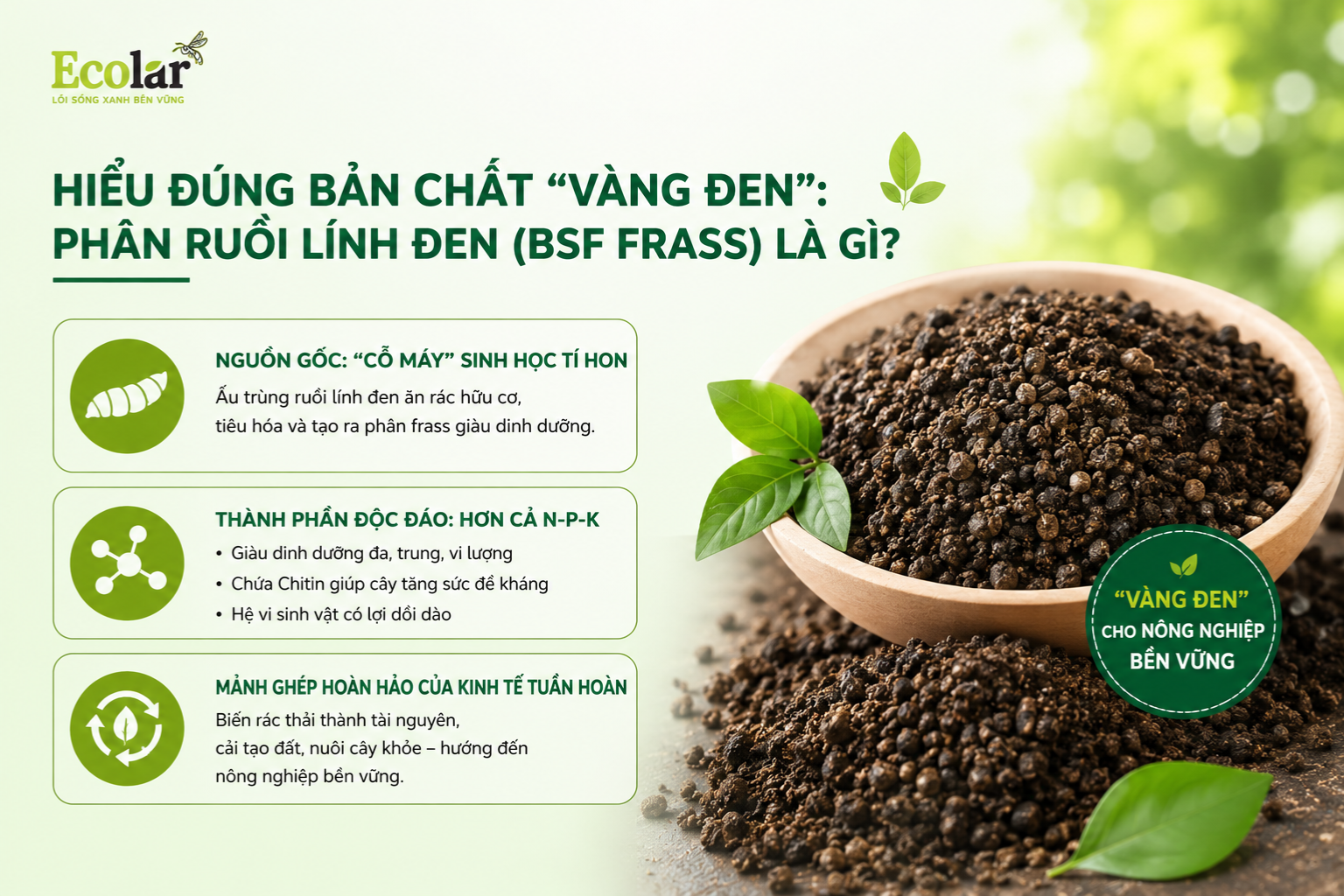 Hiểu Đúng Bản Chất 'Vàng Đen': Phân Ruồi Lính Đen (BSF Frass) Là Gì?