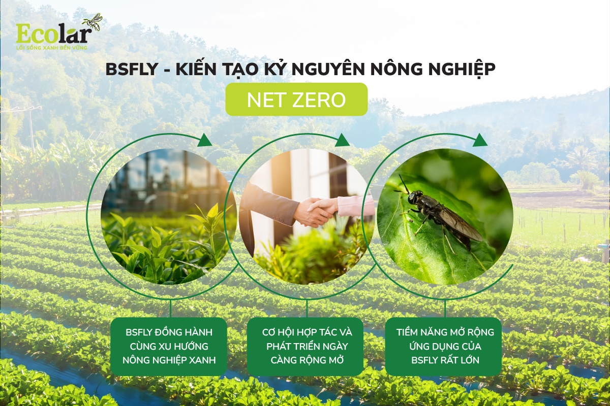 BSFly - Kiến tạo kỷ nguyên nông nghiệp Net Zero