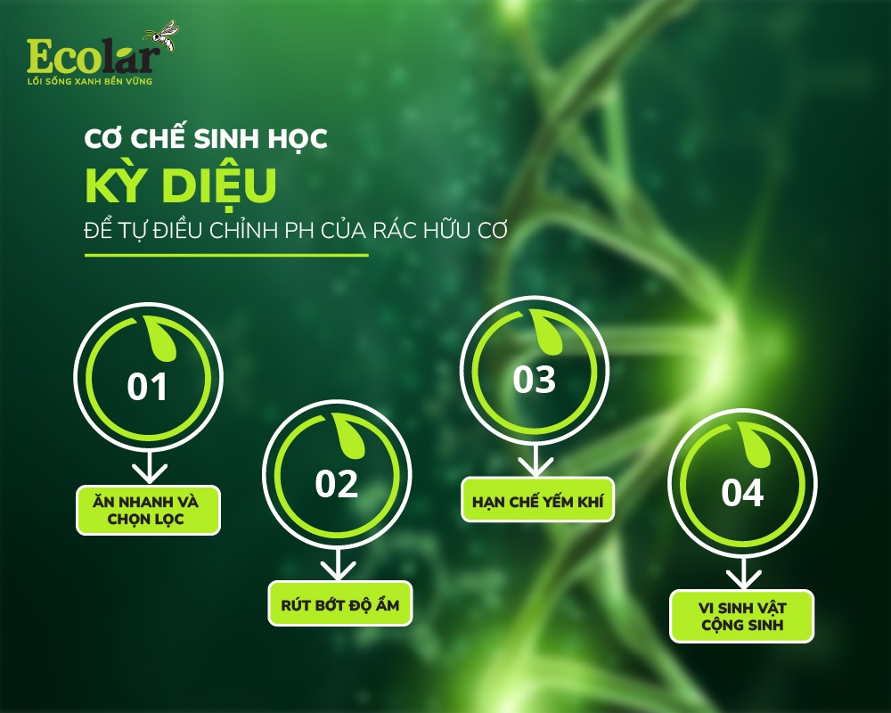 eu-de-tu-dieu-chinh-ph-cua-rac-huu-co