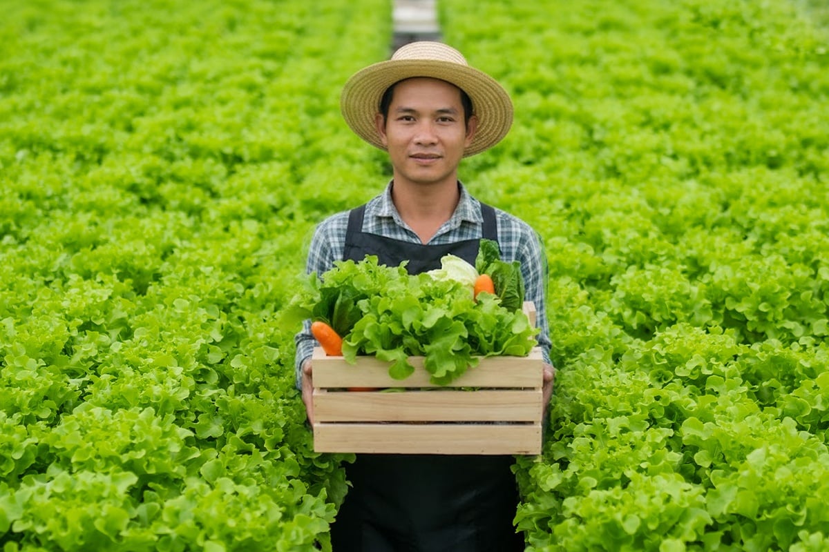 Sản phẩm phân bón của Ecolar