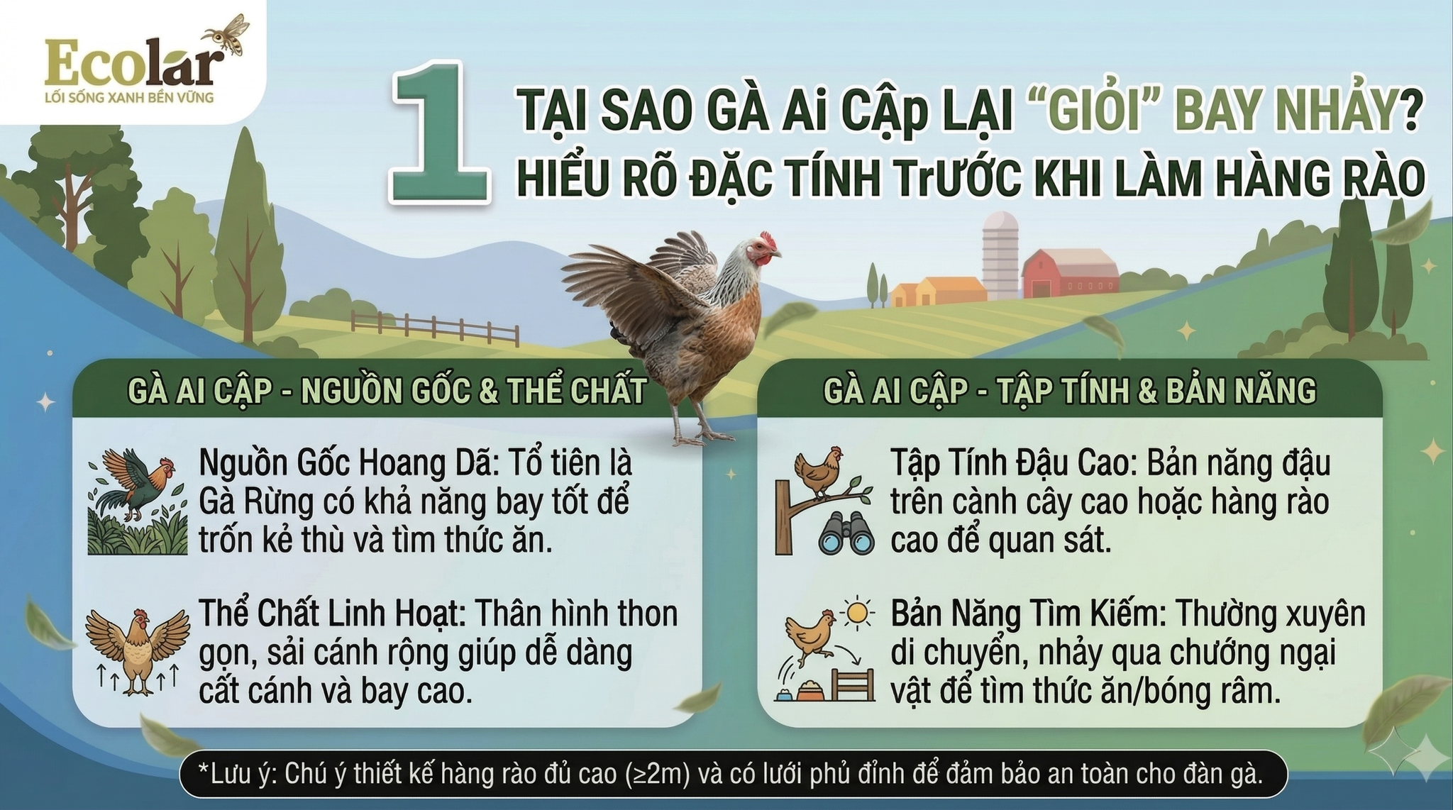 eu-ro-dac-tinh-truoc-khi-lam-hang-rao_2da8fdc004e24424a2345fd598bb4aa4.png