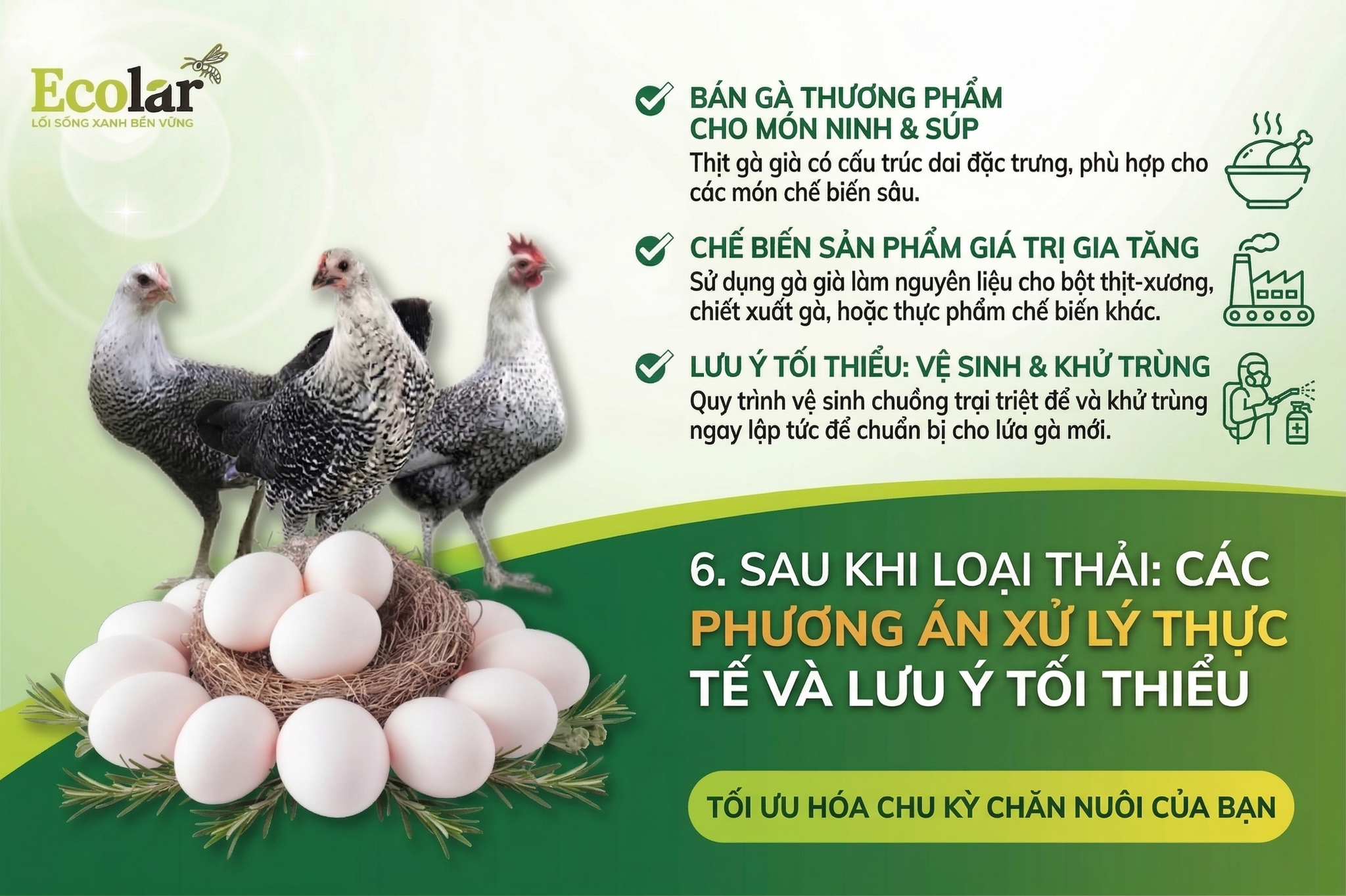 g-an-xu-ly-thuc-te-va-luu-y-toi-thieu_a339f58c1ee94857bde337a9f053595d.png