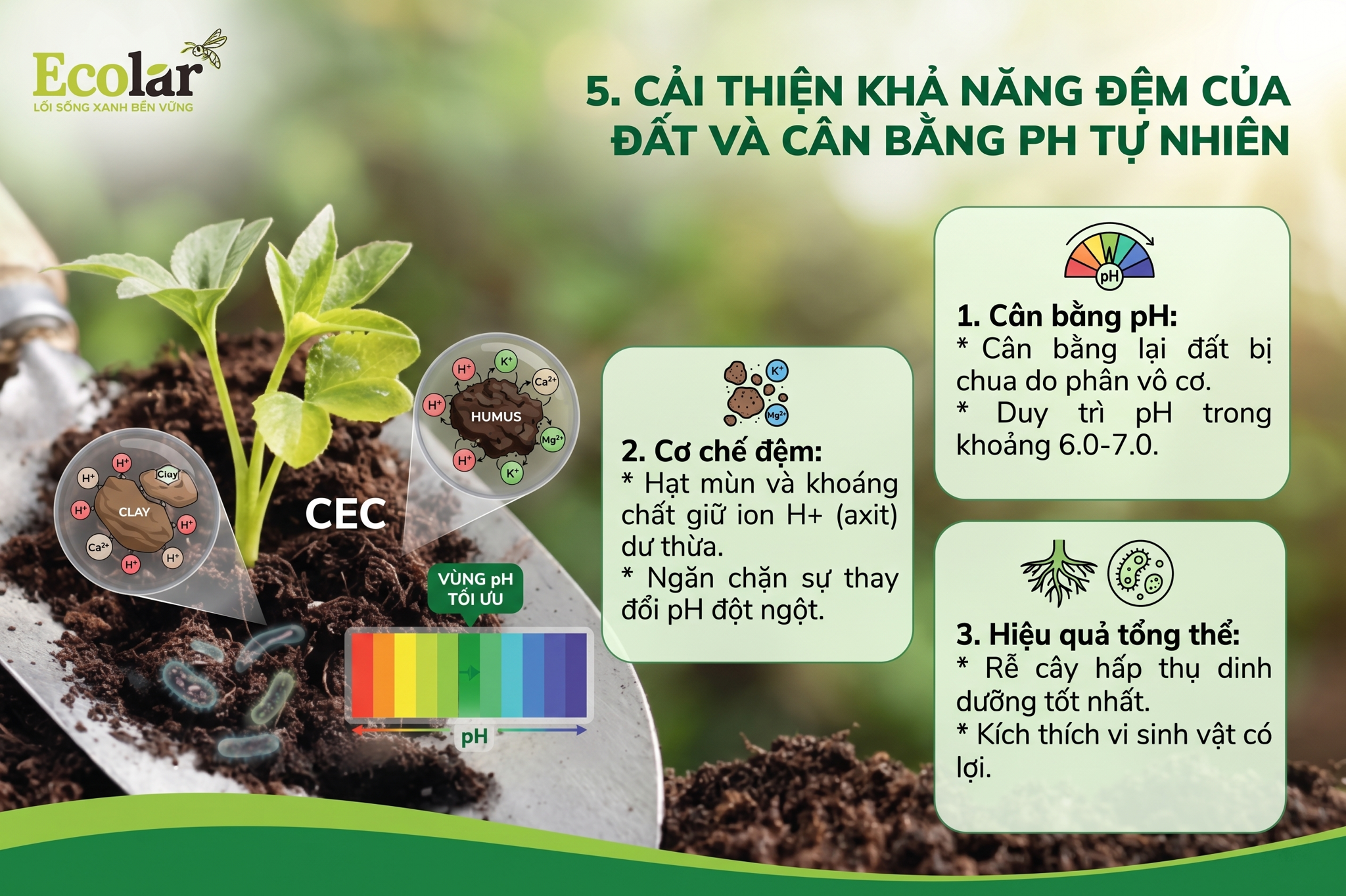 Cải thiện khả năng đệm của đất và cân bằng pH tự nhiên