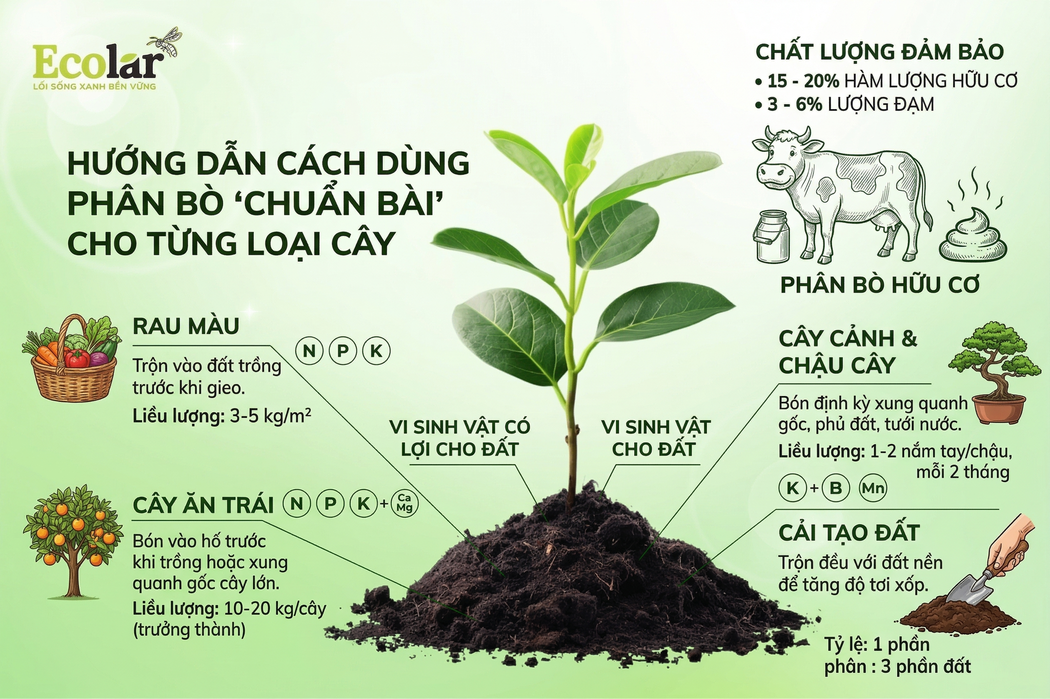 Hướng Dẫn Cách Dùng Phân Bò 'Chuẩn Bài' Cho Từng Loại Cây