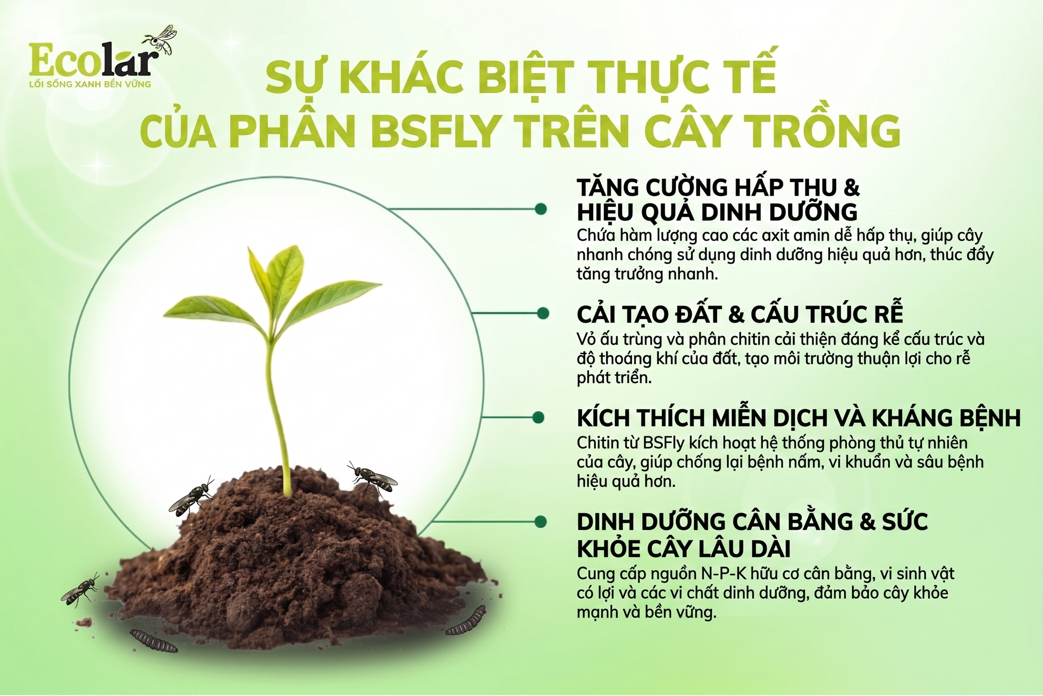 Ảnh hưởng thực tế đến cây trồng và bằng chứng: BSFly khác ở điểm nào?