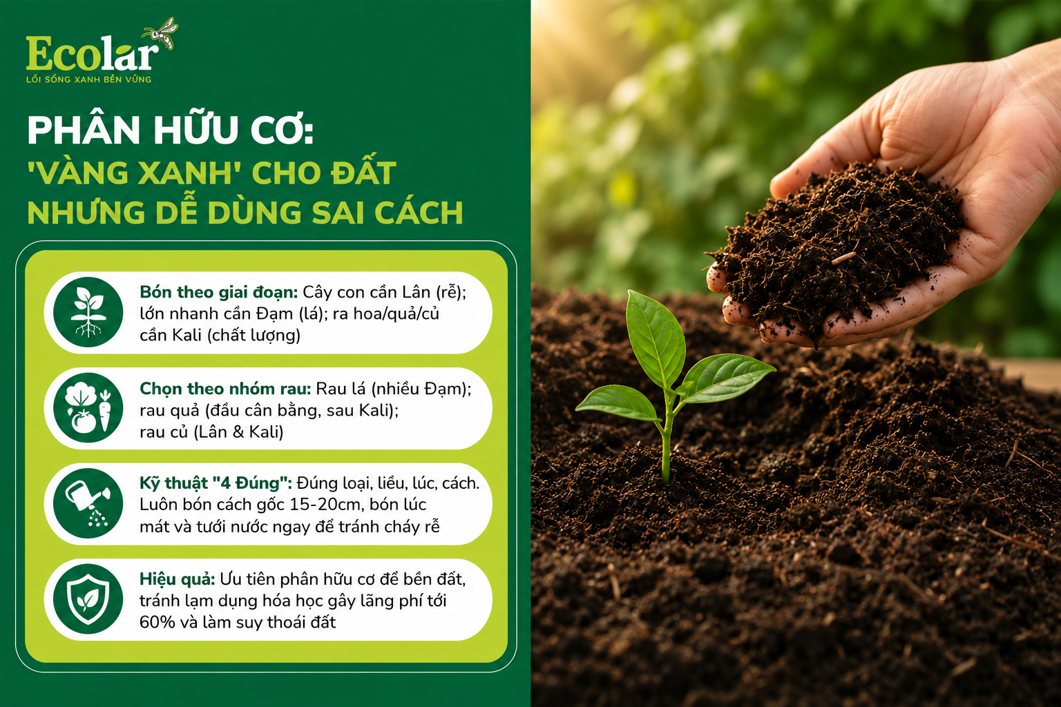 Phân Hữu Cơ: 'Vàng Xanh' Cho Đất Nhưng Dễ Dùng Sai Cách