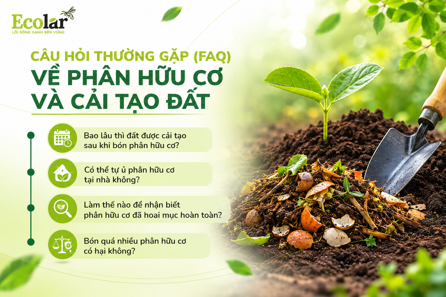 Câu Hỏi Thường Gặp (FAQ) Về Phân Hữu Cơ và Cải Tạo Đất