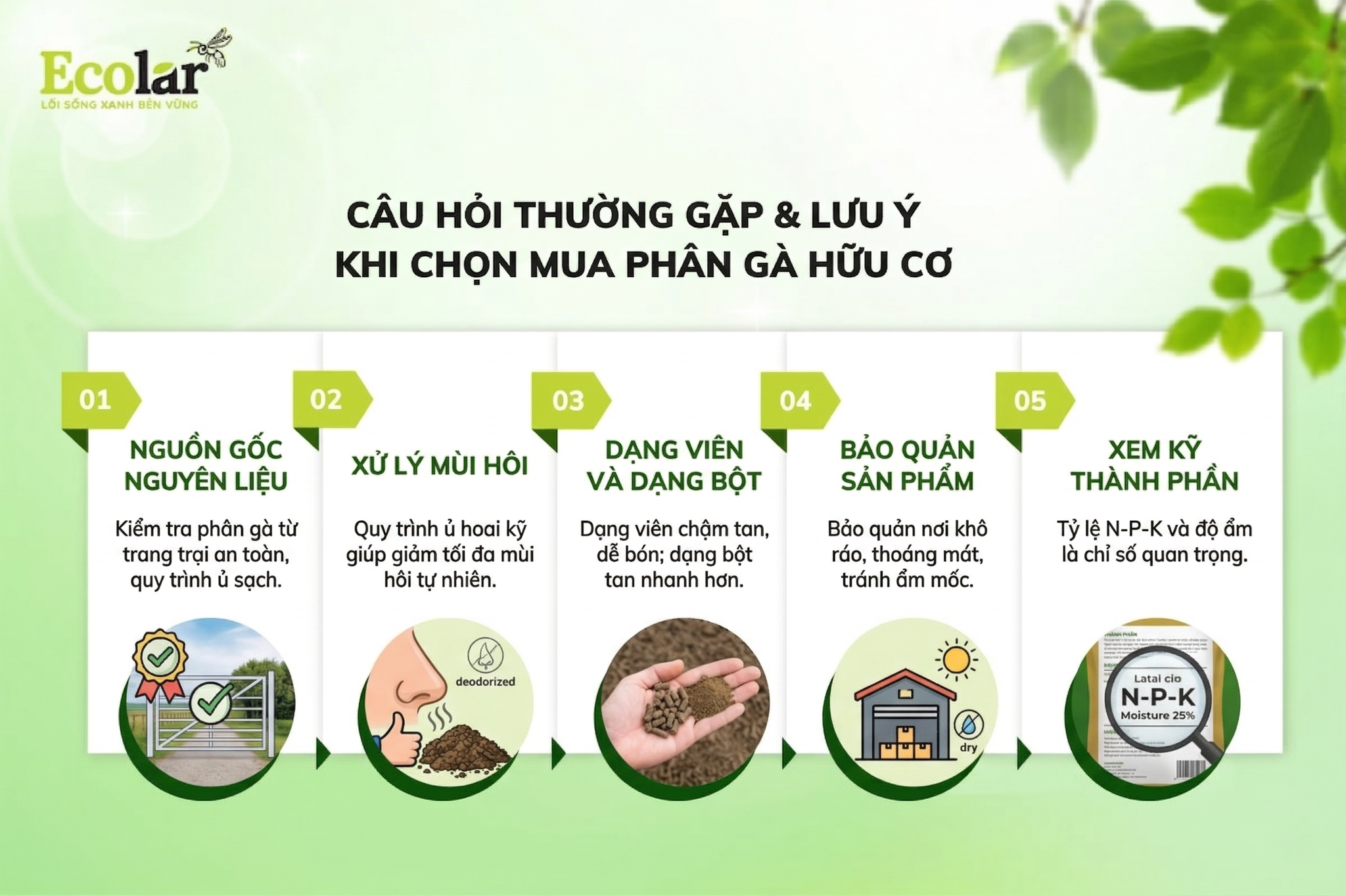 Câu Hỏi Thường Gặp & Lưu Ý Khi Chọn Mua Phân Gà Hữu Cơ